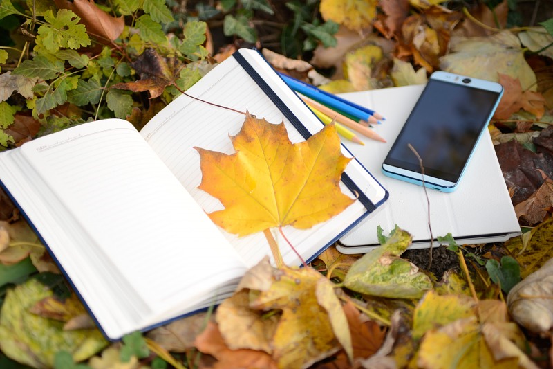 Autumn smartphone notebook student concept free photo