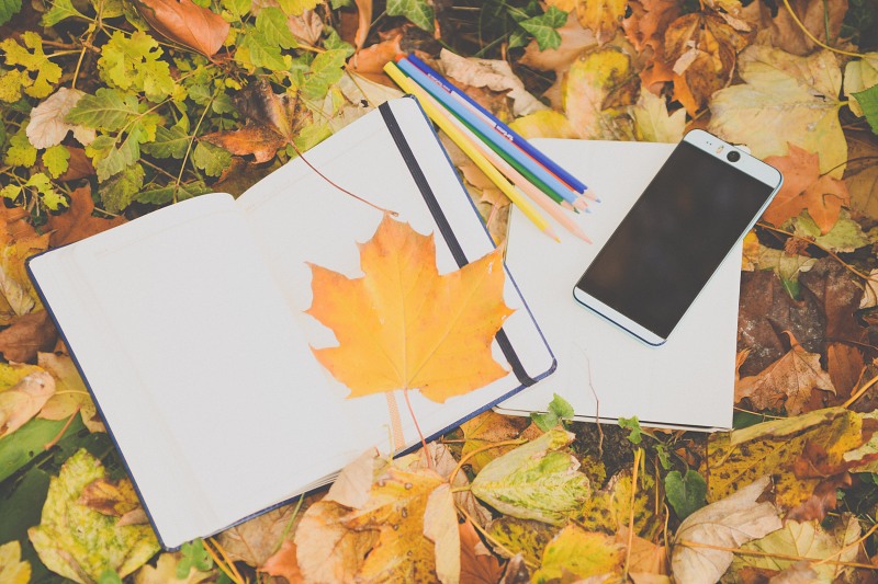 Autumn study concept smartphone books free photo