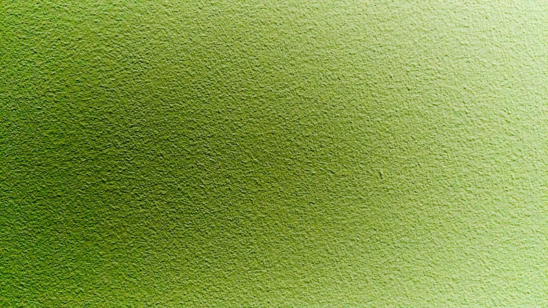 Green wall paint free photo