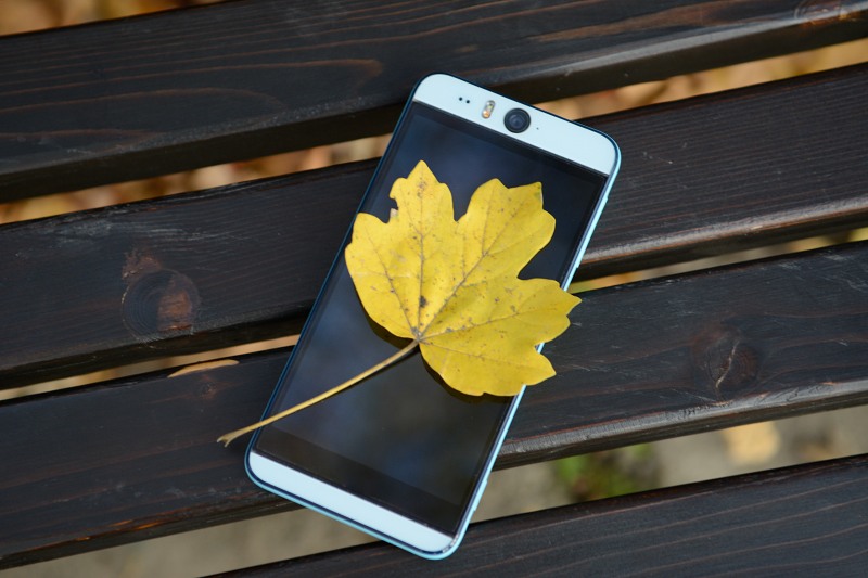 Leaf autumn smartphone screen free photo