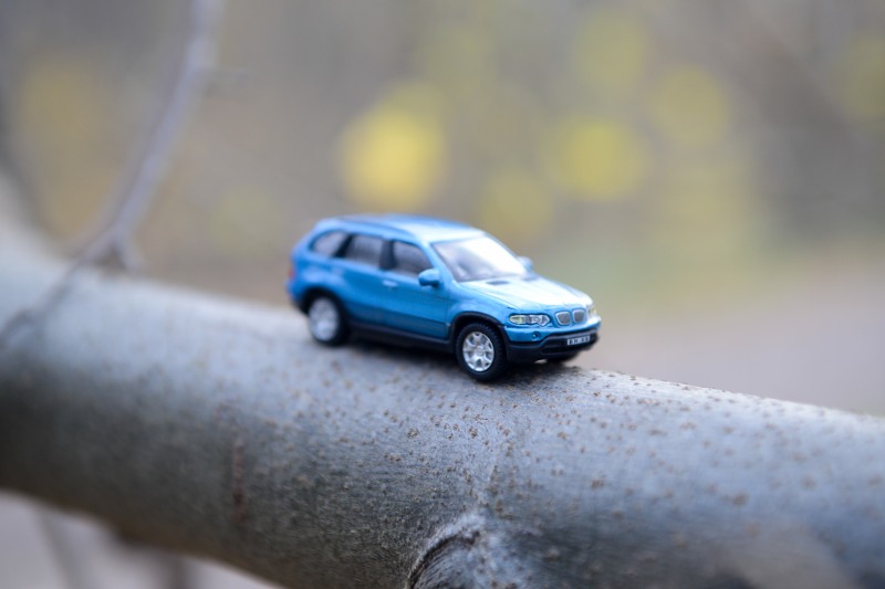 Miniature blue vehicle in forest free photo