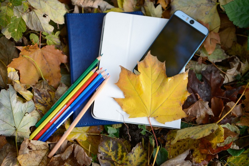 Mobile student notebooks and autumn leaves free photo