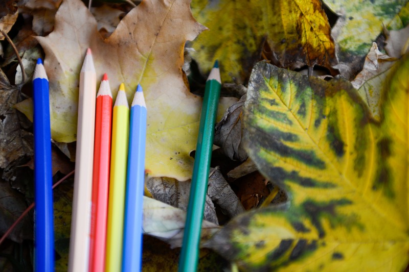 Pencils colors school autumn free photo