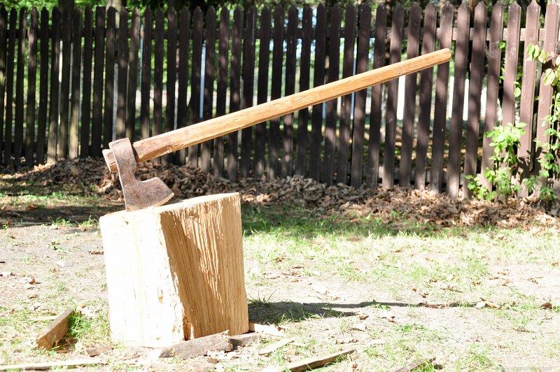 Axe in wood free photo