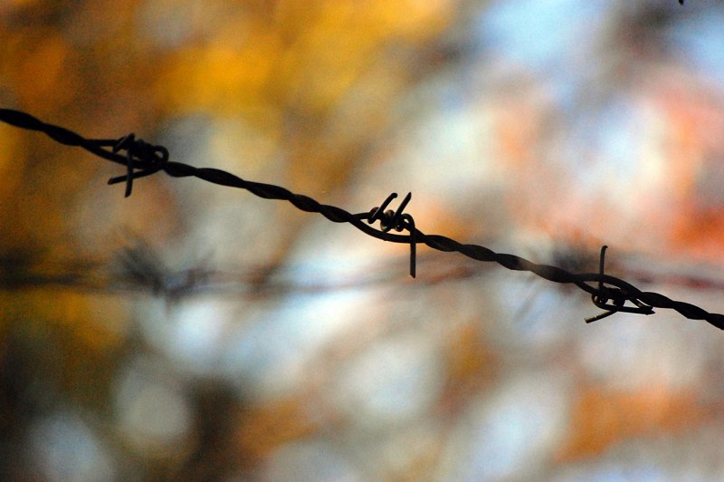 Barbed wire from a fence free photo