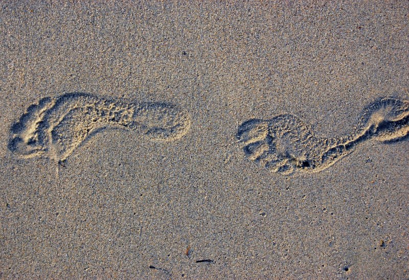 Bare foot tracks in wet sand free photo