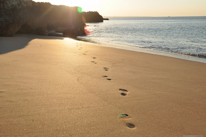Beach concept footsteps free photo