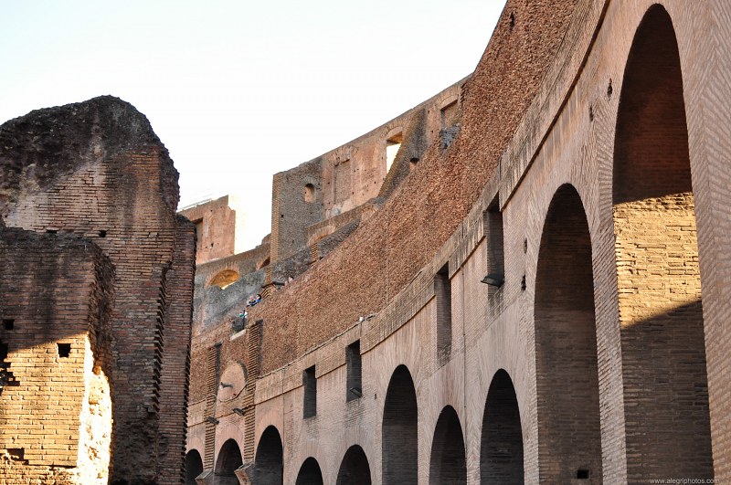 Colosseum walls free photo