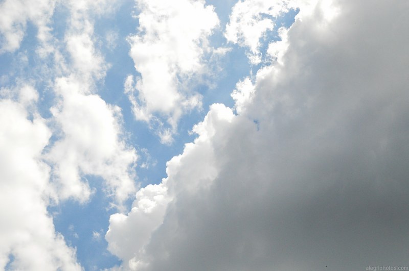 Cumulus clouds free photo