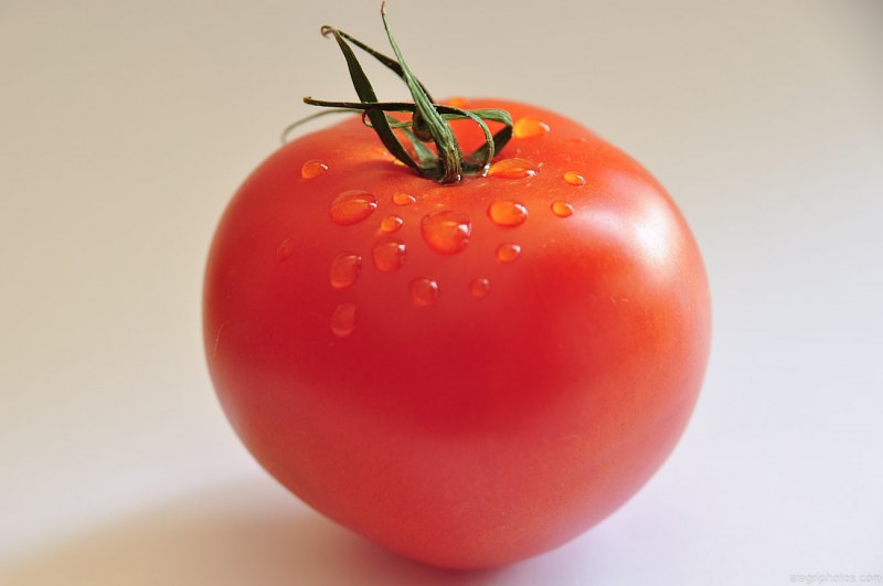 Fresh red tomato with water drops free photo