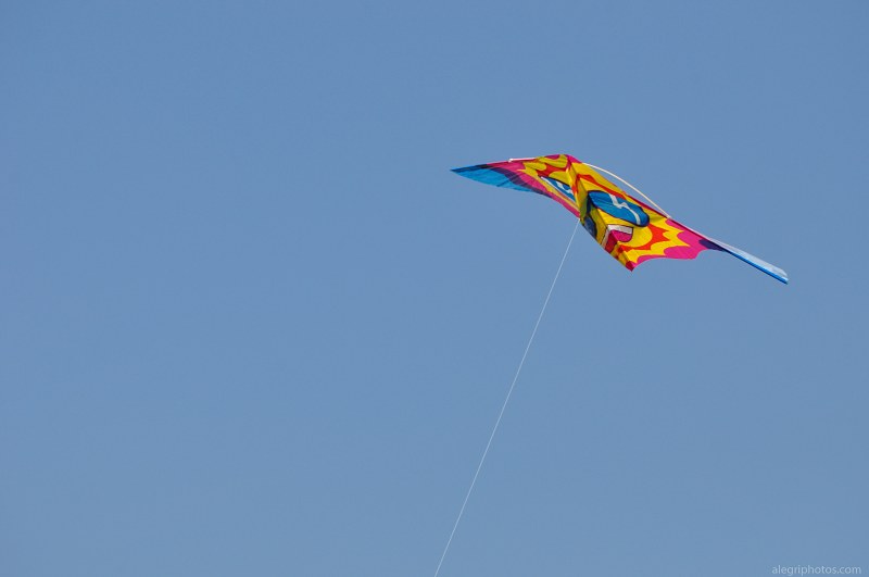Kite free photo
