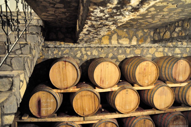 Oak wine barrels free photo