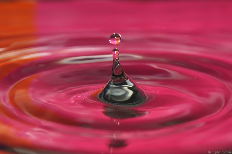 Pink splash of water free photo