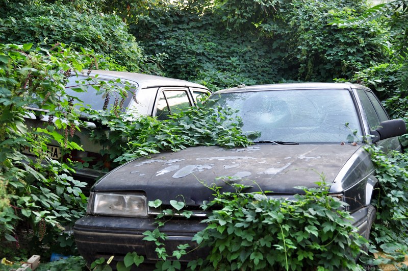 Rusty and abandoned cars free photo