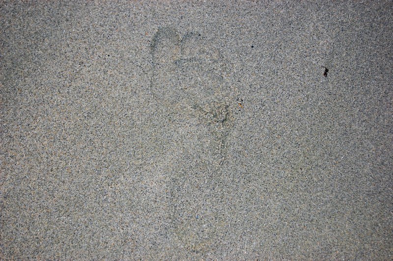 Shape of a foot in wet sand free photo