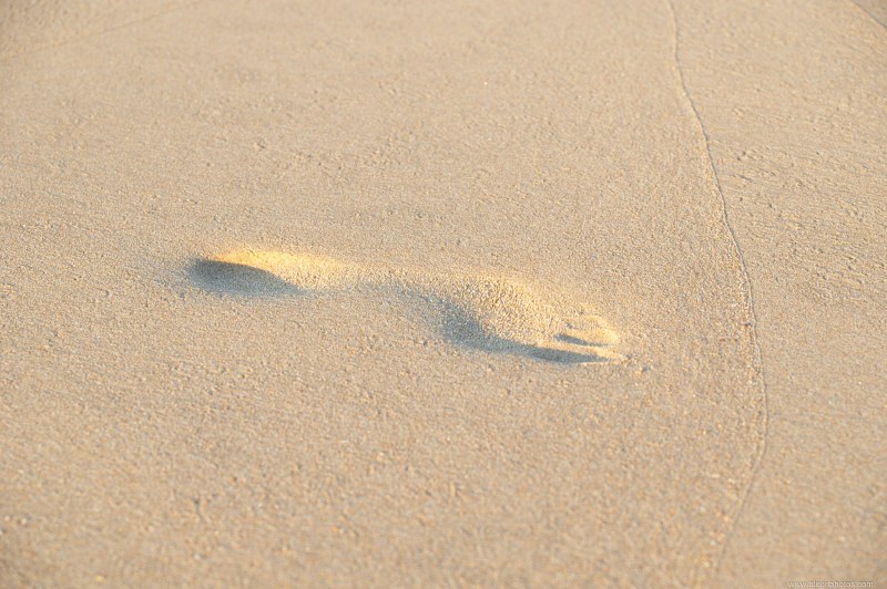 Single footprint in sand free photo