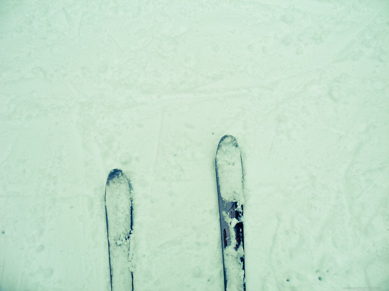 Ski in snow free photo