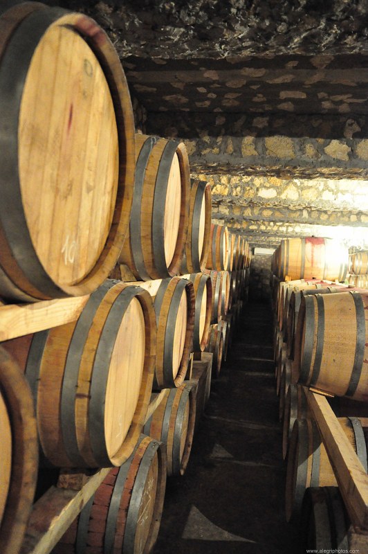 Stacks of wine wooden barrels