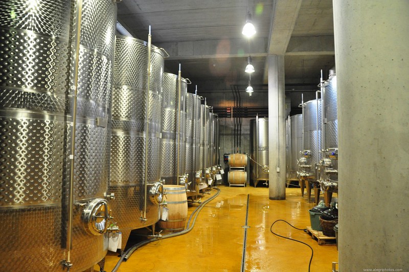 Storage tanks in wine factory free photo