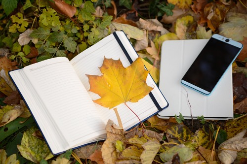 Autumn notebook park leaf smartphone free photo