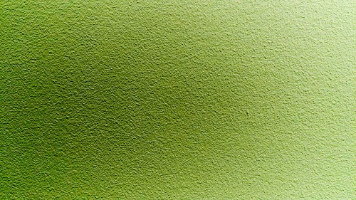 Green wall paint free photo