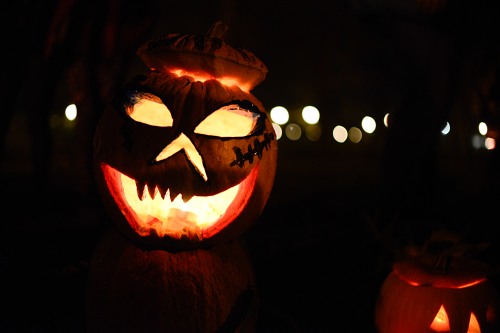 Halloween lantern pumpkin scarry free photo