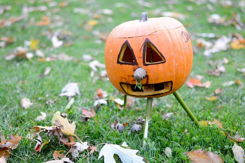 Halloween pumpkin with legs free photo
