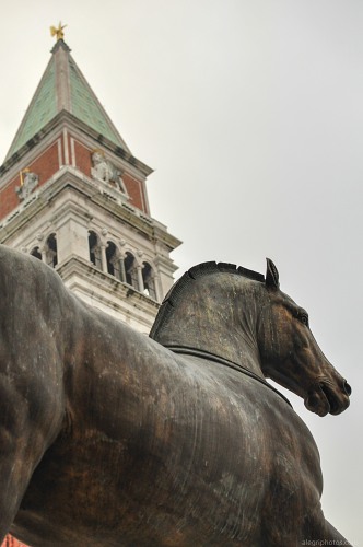 San marco horse statue free photo