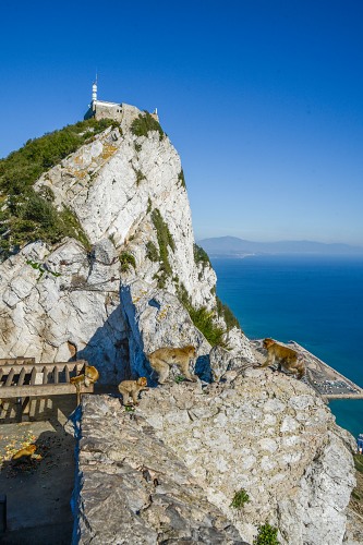 Tower and monkeys on top of Rock of Gibraltar