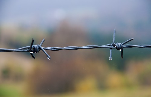 Wet barbed wire free photo