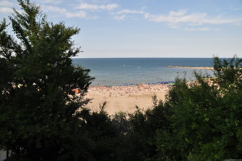 Beach view from hill free photo
