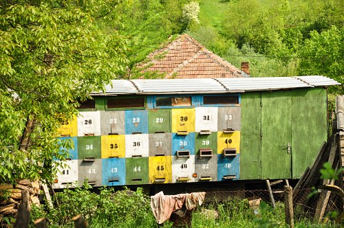 Bee hives trailer free photo