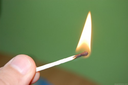 Burning matches free photo