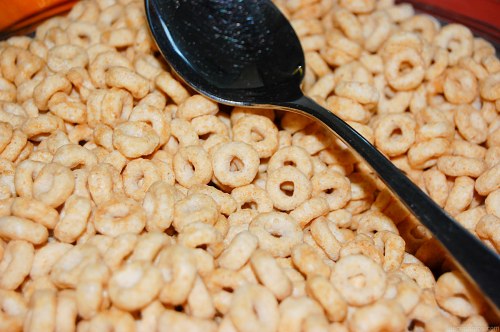 Cereal breakfast free photo