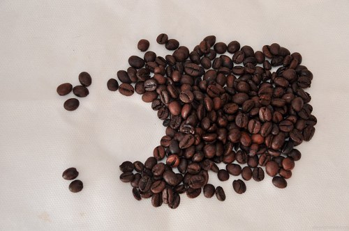 Coffee cup space in beans free photo