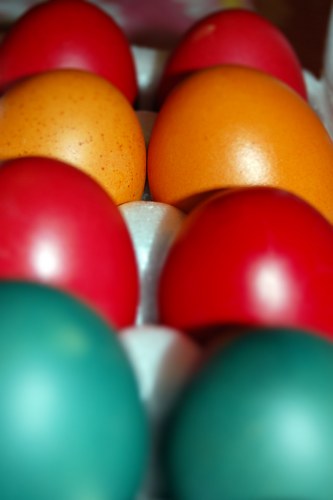 Colored Easter eggs free photo