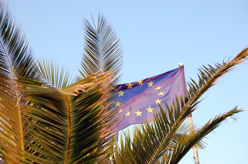 European Union flag behind a palm tree free photo
