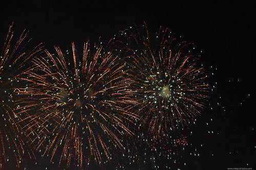 Fireworks display free photo