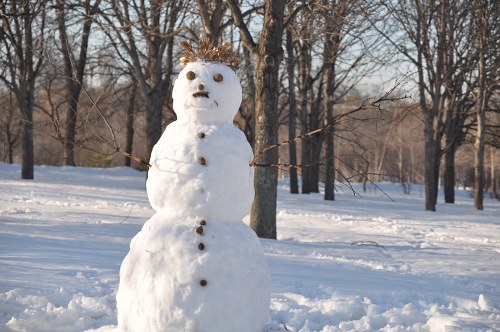 Forest snowman free photo