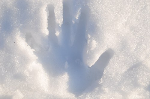 Hand print in snow free photo