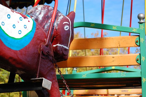 Horse in the carousel free photo