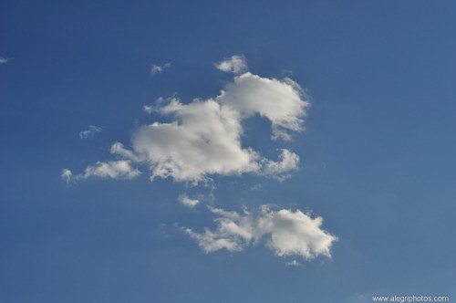 Isolated cloud on sky free photo