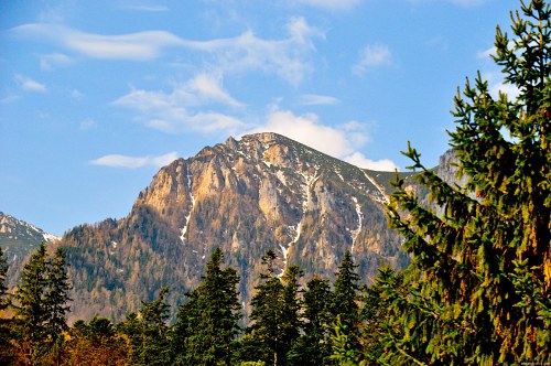 Mountain peak behind forest free photo