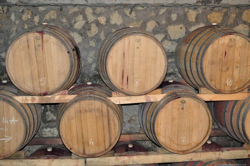Numbered wine barrels free photo