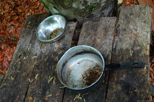 Old camping cooking pots free photo