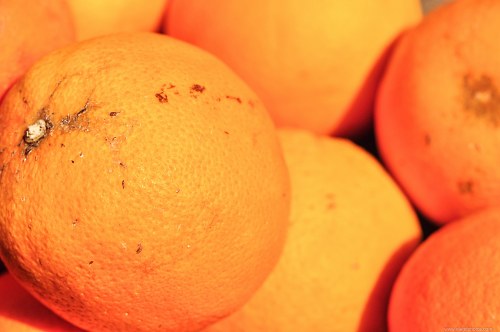 Orange fruits free photo