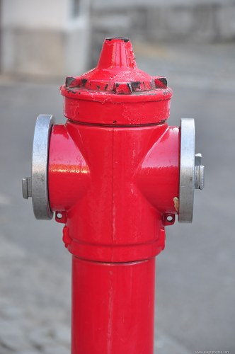 Red fire hydrant free photo