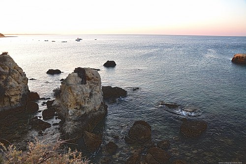 Rocks and ocean at sunset free photo