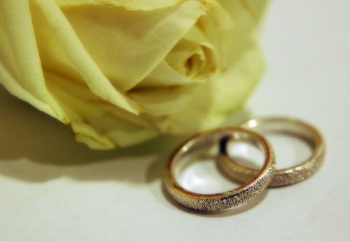 Rose and wedding rings free photo