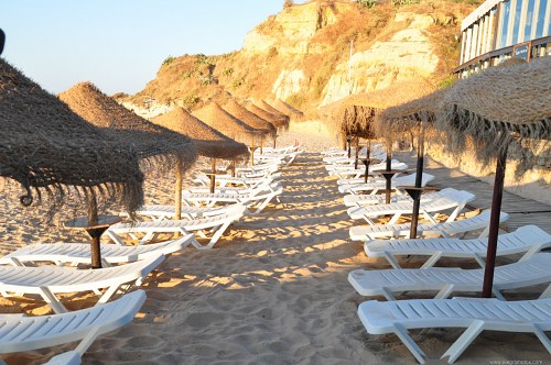 Rows of sunbeds on beach free photo